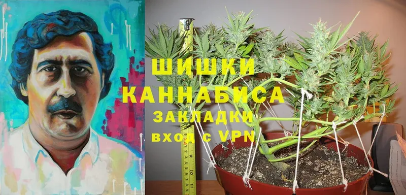 Бошки марихуана SATIVA & INDICA  нарко площадка клад  Ногинск 